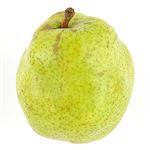 山形県などの国内産 ラ・フランス洋なし 1個 【11月20日～11月24日のお受取り】