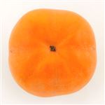 愛知県などの国内産 次郎柿 1個