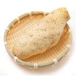 千葉県などの国内産 大和芋 1本