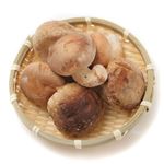 新潟県などの国内産 生椎茸（菌床栽培）100g 1パック