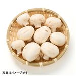 岡山県などの国内産 ホワイトマッシュルーム 大パック 1パック 【5／3－5配送】