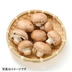 千葉県などの国内産 マッシュルーム（ブラウン）100g