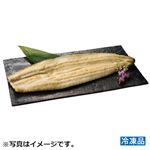 【予約】 【冷凍】静岡県産 うなぎ白焼 1尾 【7月22日～7月24日配送】