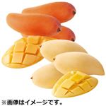 【予約】 タイ産 マンゴー（ナムドクマイ種）3個、（マハチャノ種）3個 【4月28日～5月5日配送】
