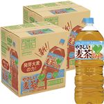 【予約】 【ケース販売】サントリーフーズ GREENDAKARAやさしい麦茶 2000ml×6本入×2ケース 【7月25日～7月29日のお受取り】