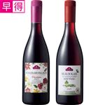 【予約】 【早得】トップバリュ 飲み比べセット 750ml×2本入 【11月20日～11月23日のお受取り】