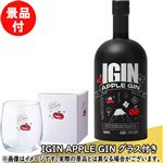 【予約】 【景品付き】IGIN APPLE GIN JAPAN EDITION2025 GLASS SET 500ml ※グラス付き ※全国限定150セット限り 【11月28日～11月29日のお受取り】