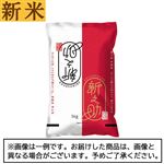 【予約】 神明／大和産業 新米 新潟県産新之助 5kg 【11月22日～11月25日のお受取り】