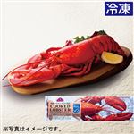 【予約】 M0071【冷凍】トップバリュ MSC認証 ボイルロブスター 1尾（325g） 【12月20日～12月25日のお受取り】