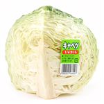 千葉県 などの国内産 キャベツ 1／4カット 1袋 【5月19日～5月20日のお受取り】