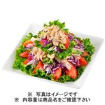【リワード キッチン】5種野菜で食べるやわらか蒸し鶏の棒棒鶏サラダ 100g（100gあたり（本体）258円）1パック