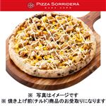 ピッツァソリデラ 具だくさんてりやき（チルド）10インチ（約25cm）【12時以降のお受取り】