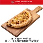 【予約】 ピッツァソリデラ 具だくさんてりやきチキンとコーンピッツァ ハーフ 1パック 【7月1日～7月5日のお受取り】
