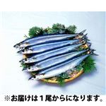 日本太平洋北部産他 さんま 1尾