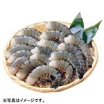 【予約】 インド産 ブラックタイガーえび（養殖・解凍）大 16尾 【7月25日～7月27日のお受取り】