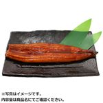 【予約】 鹿児島県産原料使用 トップバリュグリーンアイナチュラルうなぎ蒲焼（大）1尾 【7月28日～7月29日のお受取り】