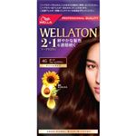 ウエラジャパン ウエラトーン2＋1 クリームタイプ 4G ダークウォームブラウン 1個