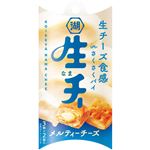 湖池屋 生・チー メルティーチーズ 6個入