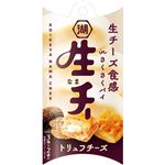 湖池屋 生・チー トリュフチーズ 6個入