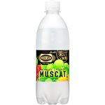 アサヒ飲料 ウィルキンソンタンサン ザフルーティーマスカット 490ml