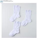 （キッズ）ファブリーズリブクルー丈 ソックス3足組（ホワイト）サイズ 19～21cm