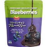 ★アスク フローズンチョコブルーベリー 50g