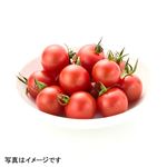 茨城県などの国内産 まるまる赤トマトミニ（イオン農場）約150g入 1袋