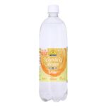 トップバリュ ベストプライス SparklingWater炭酸水レモン 1000ml