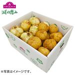 【予約】 トップバリュ減の恵み 長崎県産 じゃがいも2kg 佐賀県産 たまねぎ3kg 詰合せ 1箱 【6月25日～6月29日のお受取り】