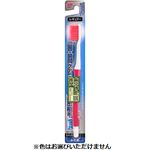トップバリュ 歯垢を除去する高密植毛ハブラシ（レギュラー）かため 1本
