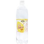 トップバリュベストプライス SparklingWater炭酸水レモン 1000ml