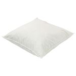 HOME COORDY 羽根ヌードクッション（ホワイト）サイズ 45×45cm