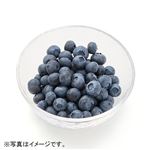 トップバリュ アメリカなどの国外産 ブルーベリー 1パック