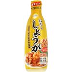 トップバリュベストプライス おろししょうが 特大サイズ 270g