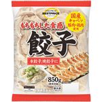 トップバリュベストプライス 餃子 50個入