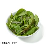 トップバリュグリーンアイオーガニック 山形県などの国内産 ベビーリーフ 1袋 (お得市価格）