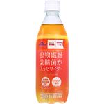 トップバリュ 食物繊維・乳酸菌が入ったサイダー 480ml