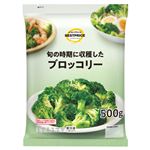 トップバリュベストプライス ブロッコリー 500g 【4／19－21配送】