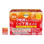トップバリュベストプライス 9時間あたたかい くつ下に貼るカイロ 15個