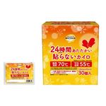 トップバリュベストプライス 24時間あたたかい 貼らないカイロ レギュラー 30個