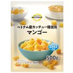 トップバリュベストプライス マンゴー 500g