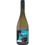 トップバリュ ALC.0.05％ワインテイスト白泡（ノンアルコール）750ml