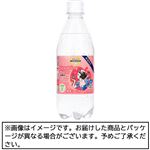 トップバリュベストプライス ディズニー炭酸水アップル風味 500ml