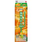 トップバリュベストプライス 温州みかん100％ジュース 900ml