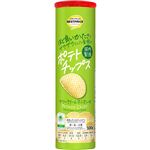 トップバリュベストプライス ザクザクとした食感のポテトチップス サワークリームオニオン味 100g