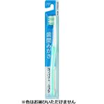 セレラトゥール 歯間みがきハブラシ コンパクト ふつう 1本