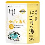 トップバリュベストプライス 薬用入浴剤 にごりの湯 ゆずの香り 540g