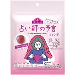 トップバリュ トキメクおやつ部 占い師の予言キャンディ ブルーベリー味 67g