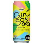 トップバリュベストプライス ジンソーダ 500ml