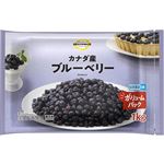 トップバリュベストプライス ブルーベリー ボリュームパック 1kg